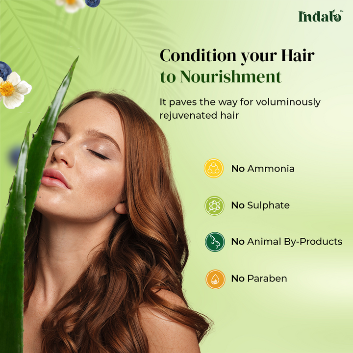 Indalo Combo For Oily Hair With White Tea Aloe Vera Shampoo & Conditioner