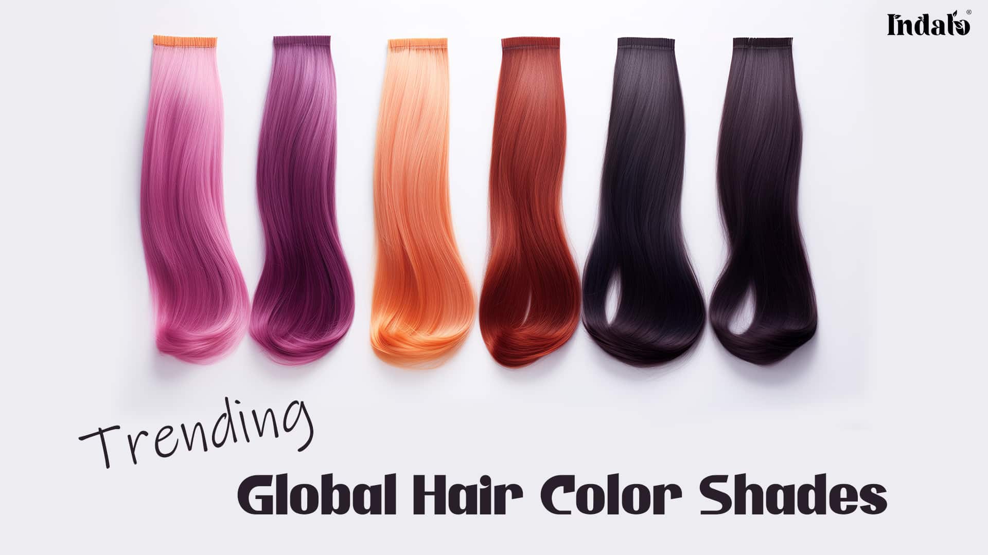 Spectacular Global Hair Colour Background in 4K Spectacular Global Hair Colour Background in 4K