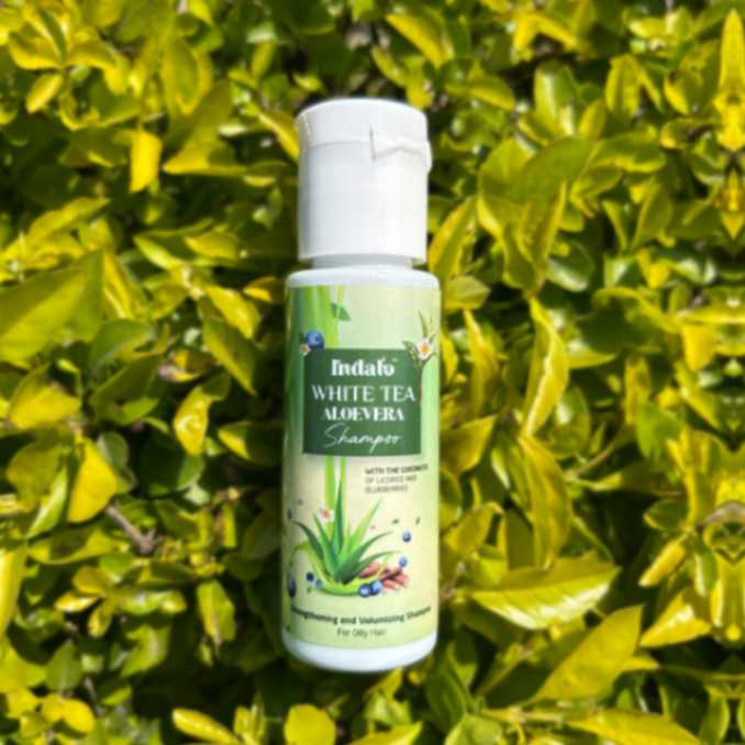 30ml free aloevera shampoo